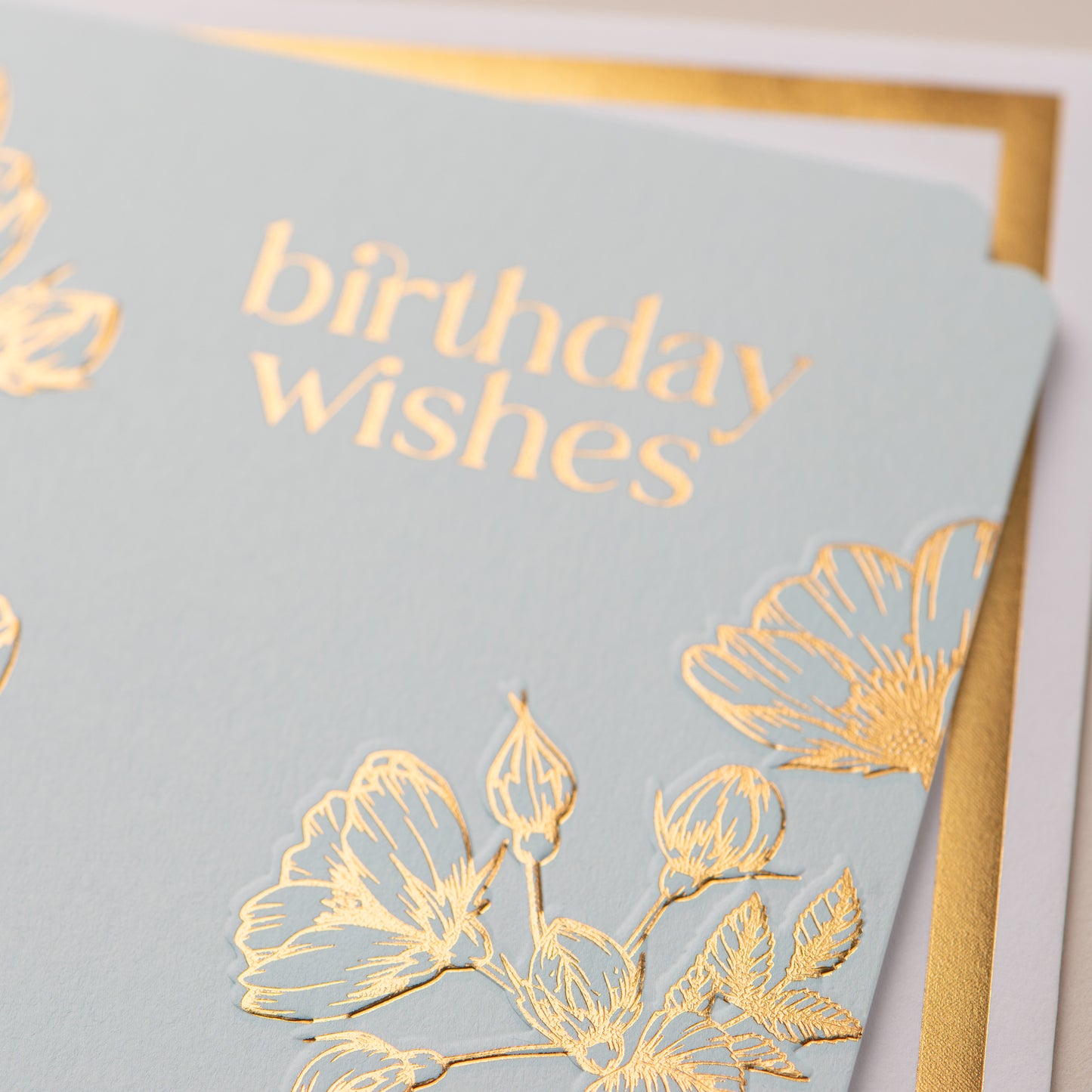 Birthday Wishes Card