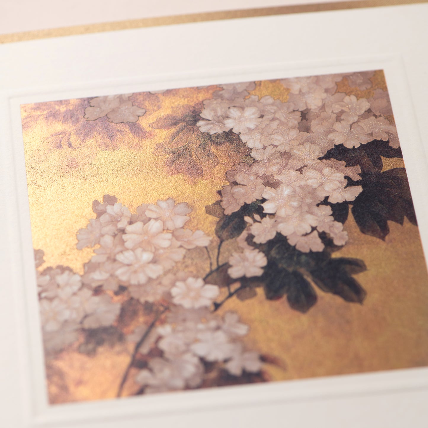 Blossom Card
