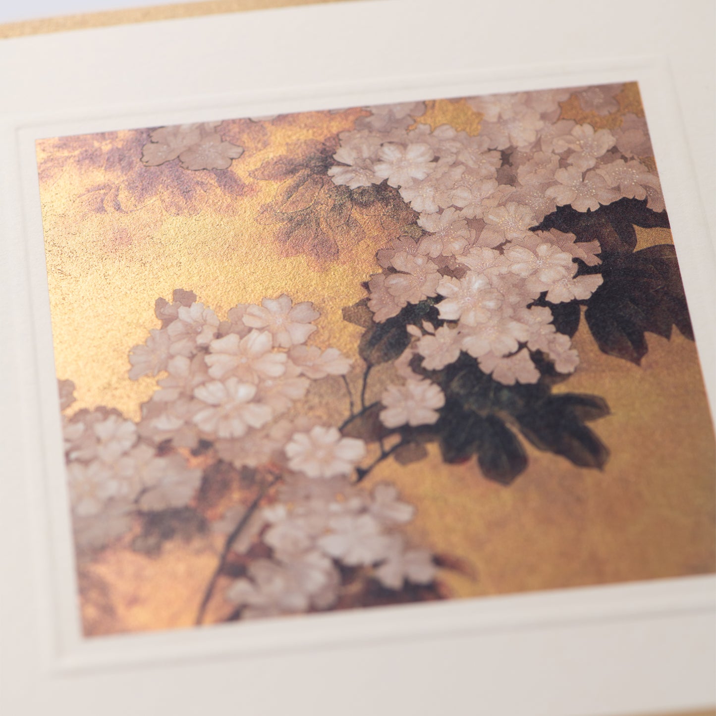 Blossom Notecards