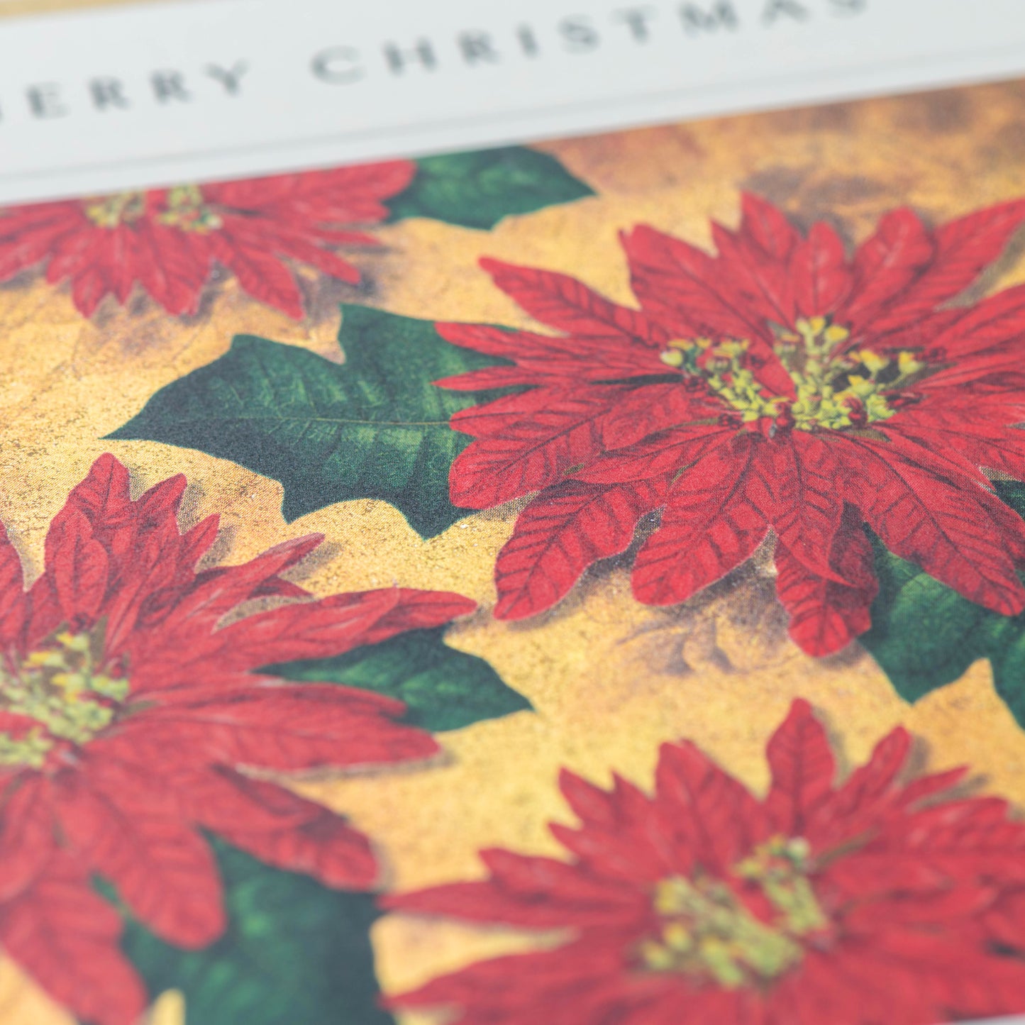 Poinsettia Christmas Card
