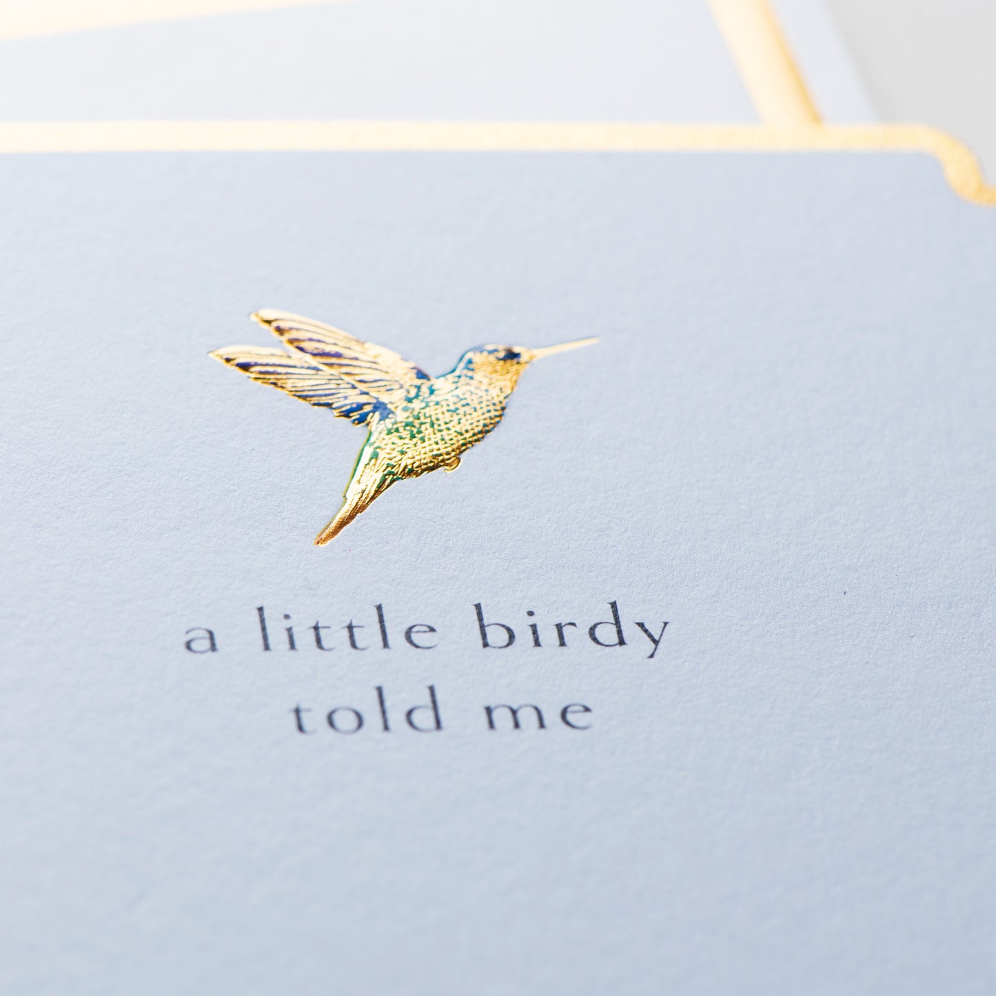 Little Birdy Card
